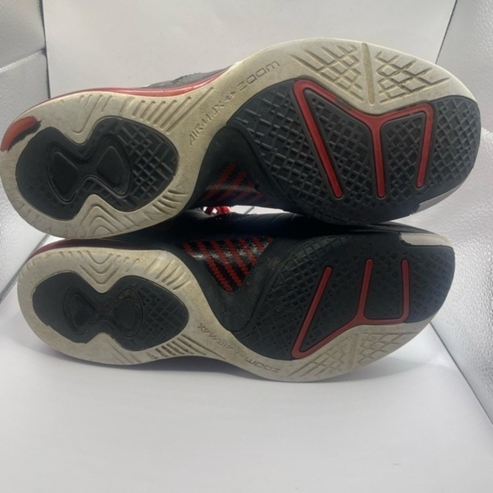 Nike Lebron Bred View 6